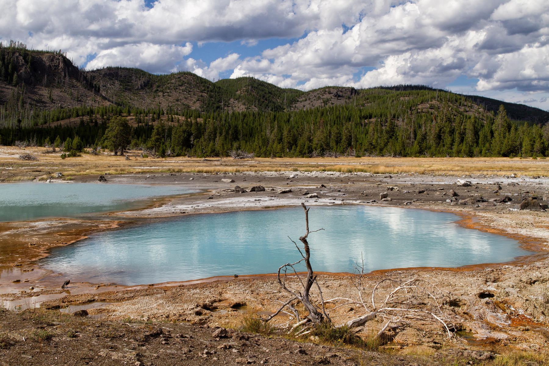 Biscuit Basin 0111