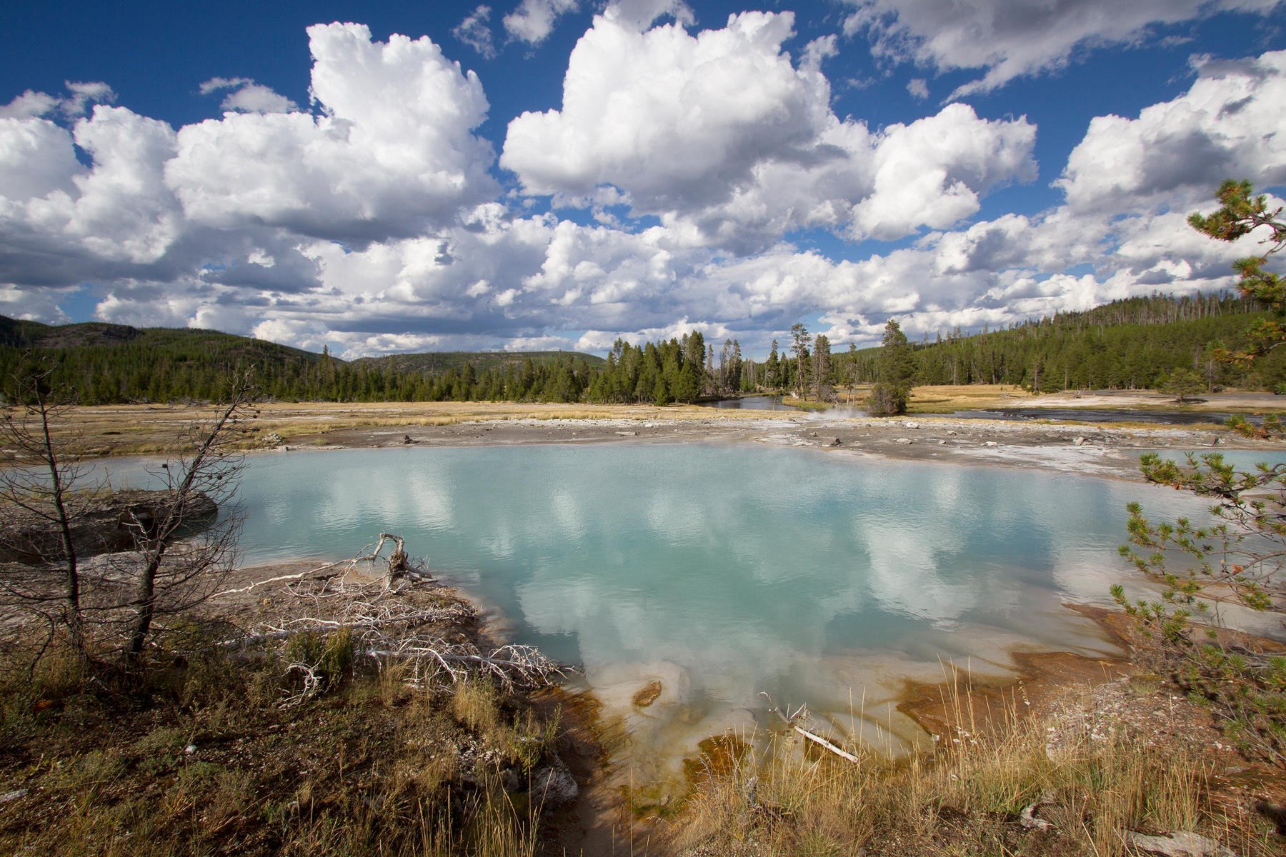 Biscuit Basin 0129