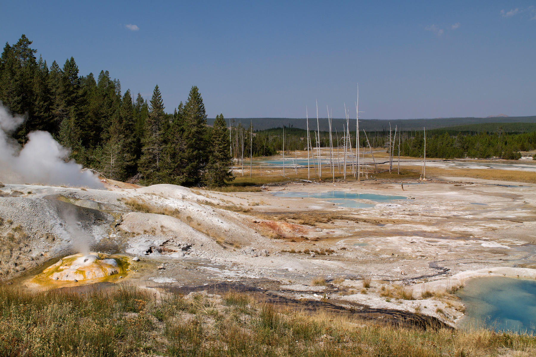 Norris Geyser Porcelain Basin 0245