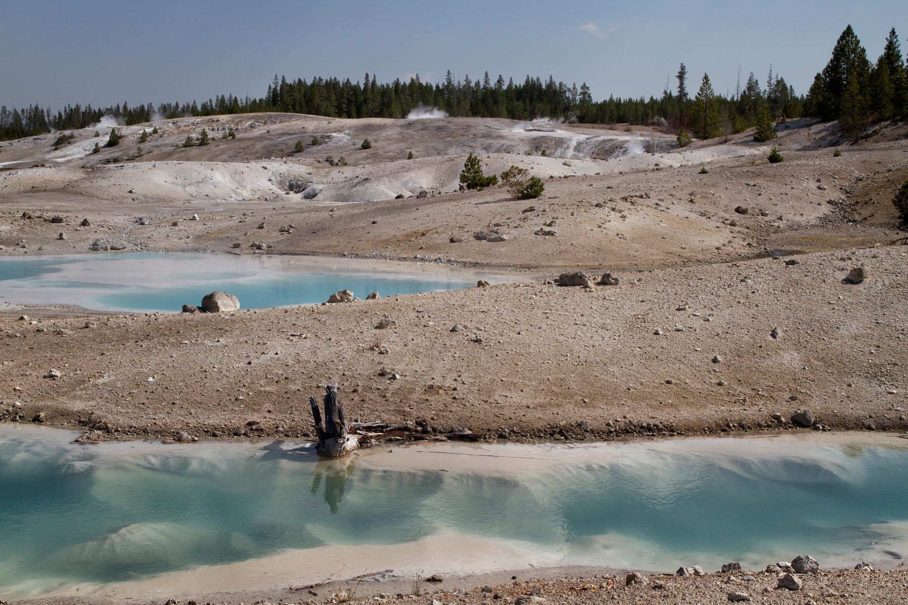 Norris Geyser Porcelain Basin 0248