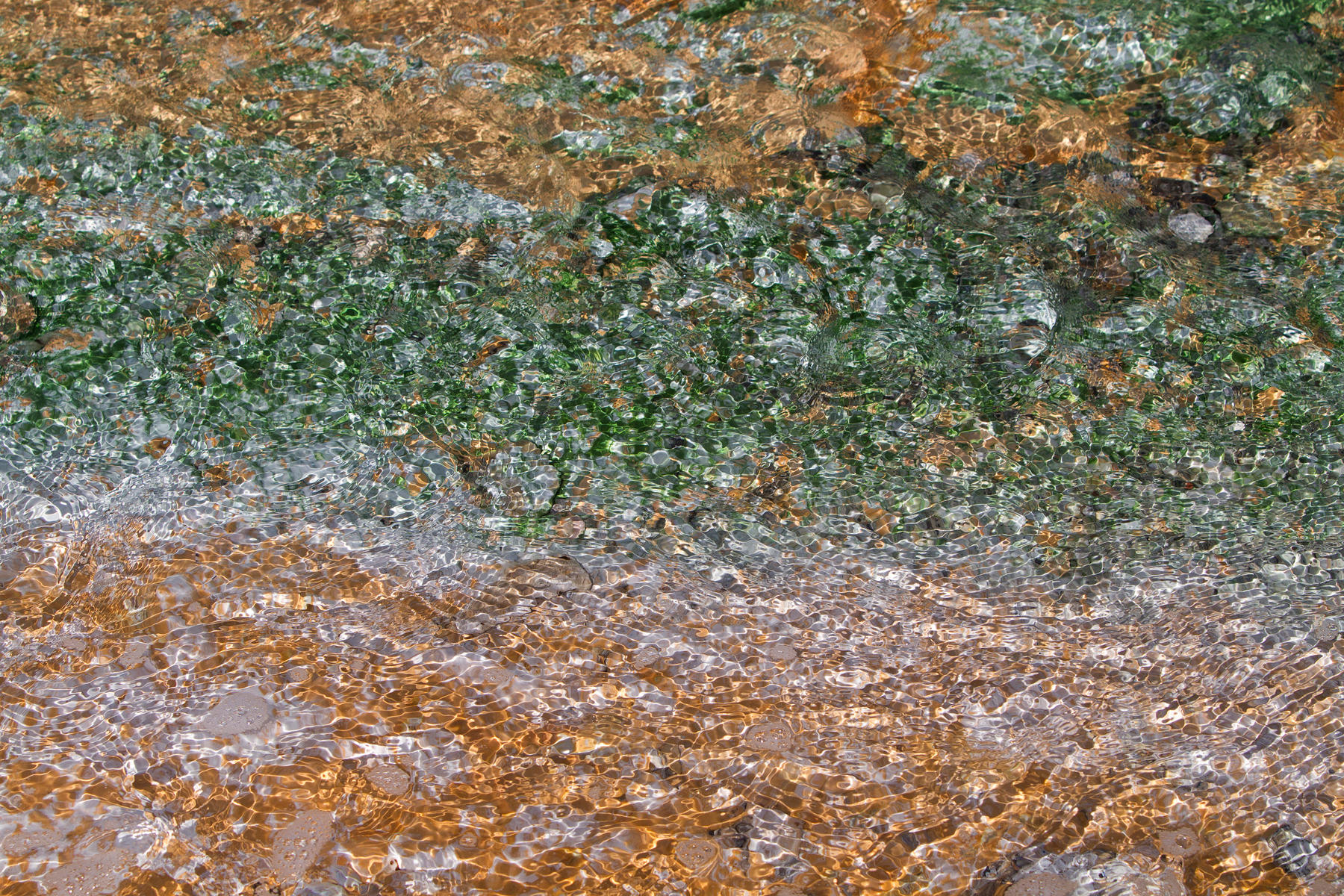 Norris Geyser Porcelain Basin 0254
