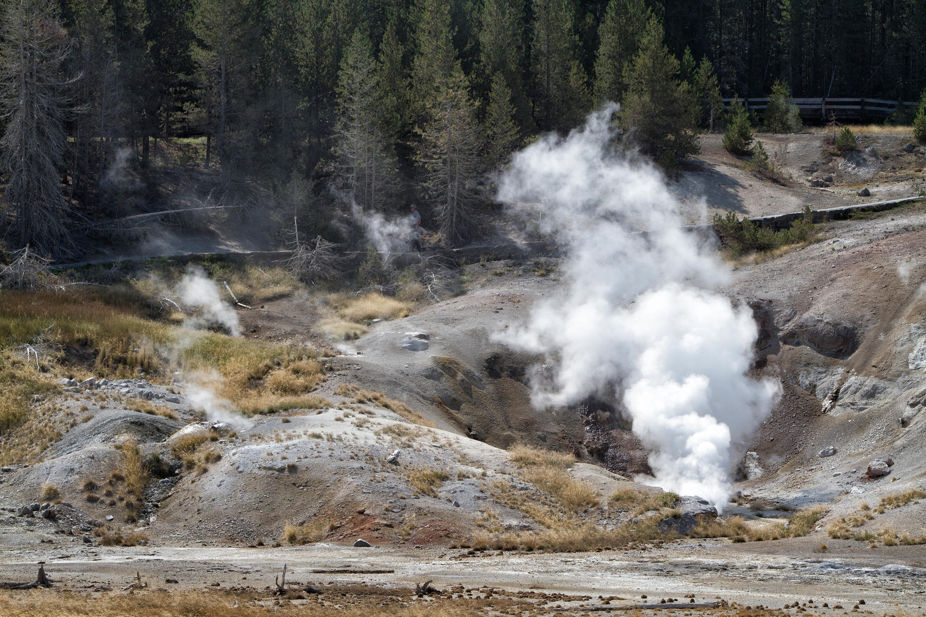 Norris Geyser Porcelain Basin 0258