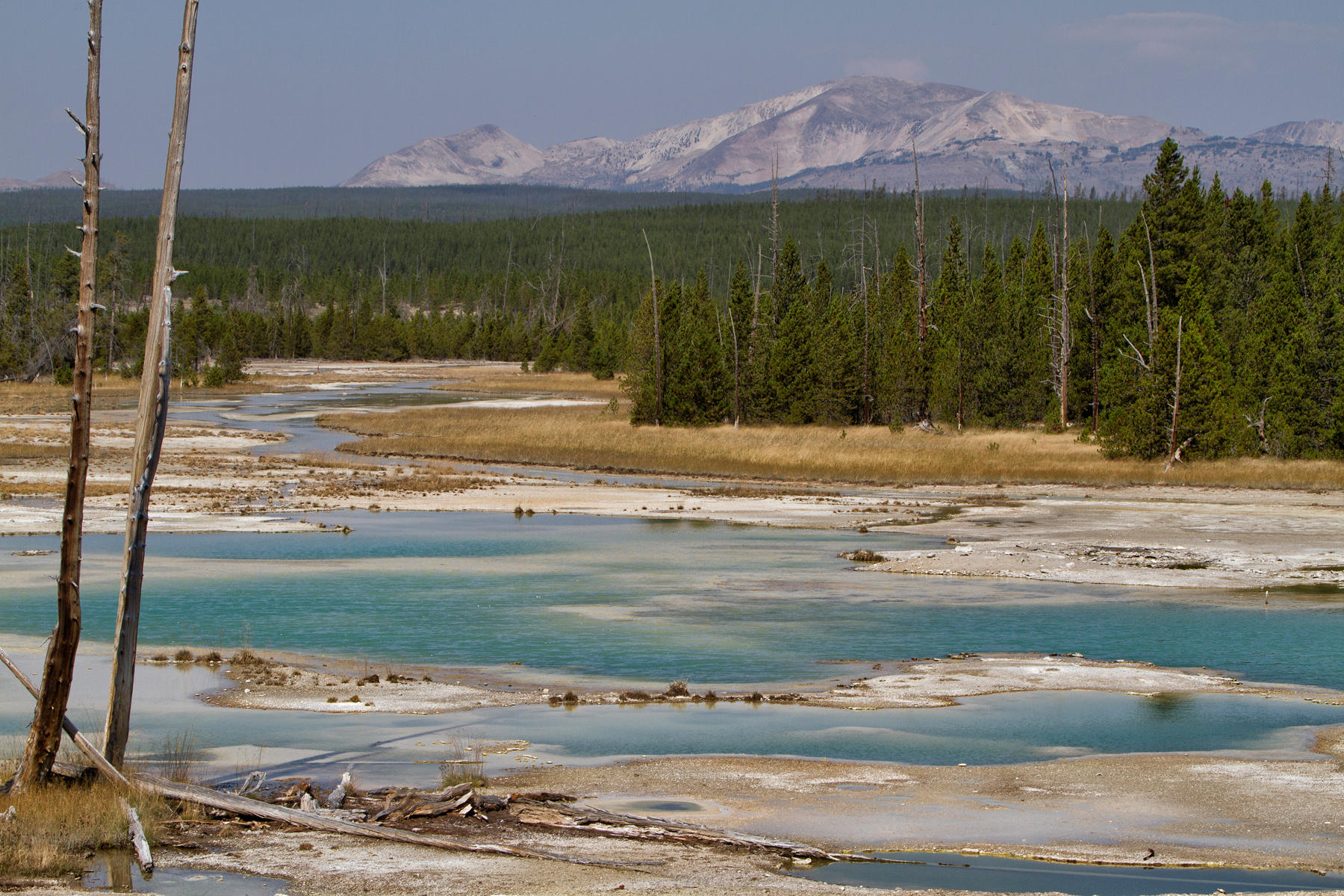 Norris Geyser Porcelain Basin 0275