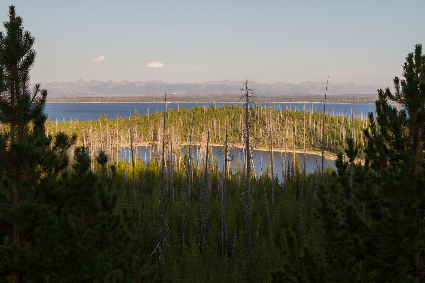 Yellowstone Lake 0363