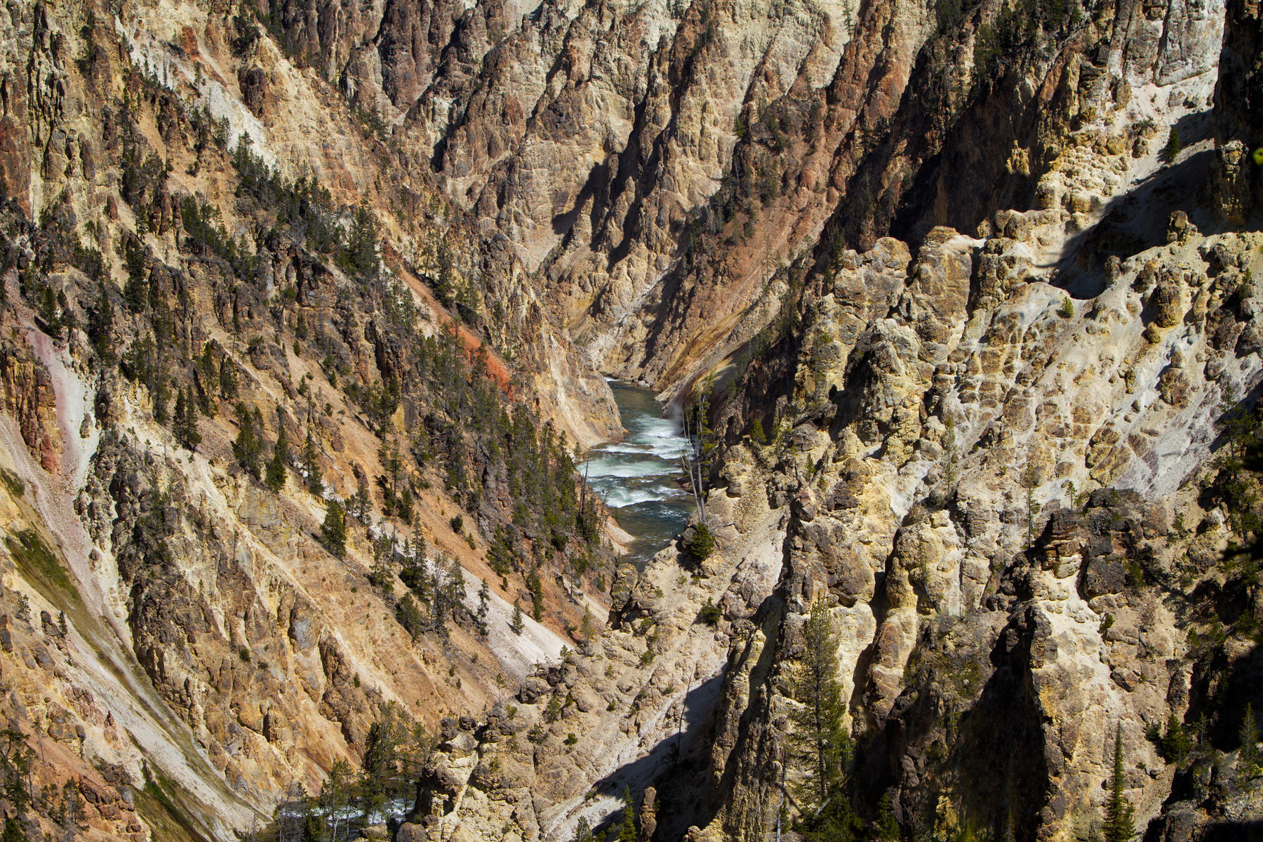 Yellowstone Grand Canyon 0492