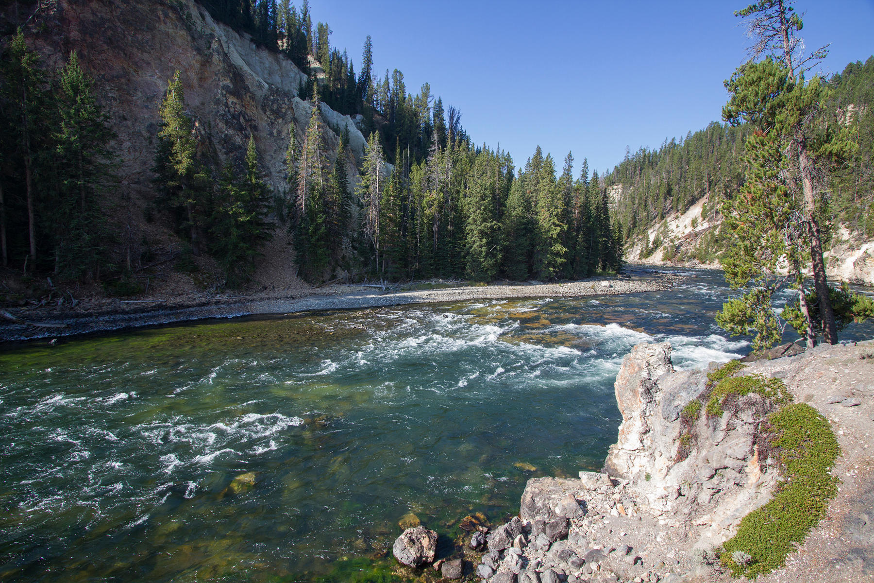 Yellowstone River 0631