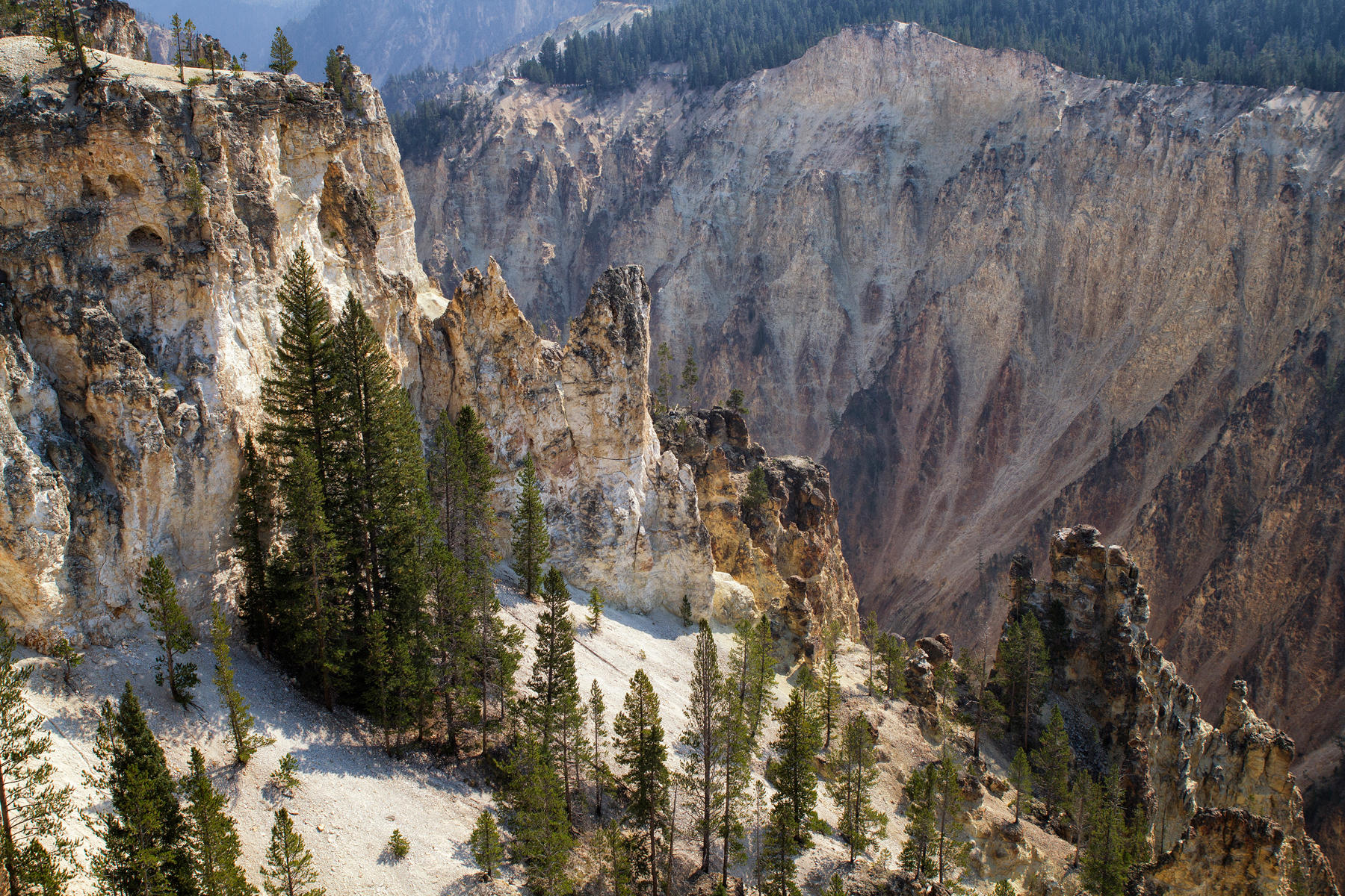 Yellowstone Grand Canyon 0703