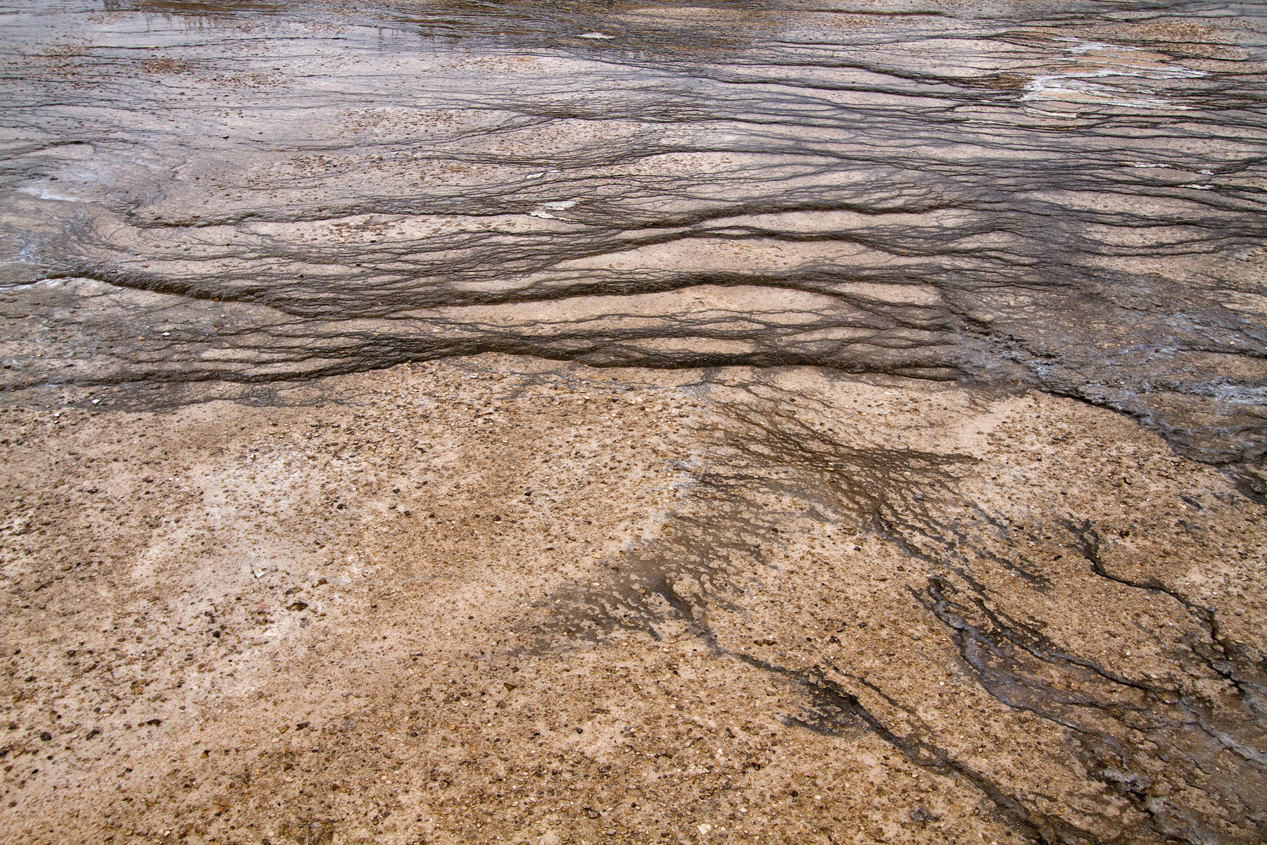 Midway Geyser Basin 0843