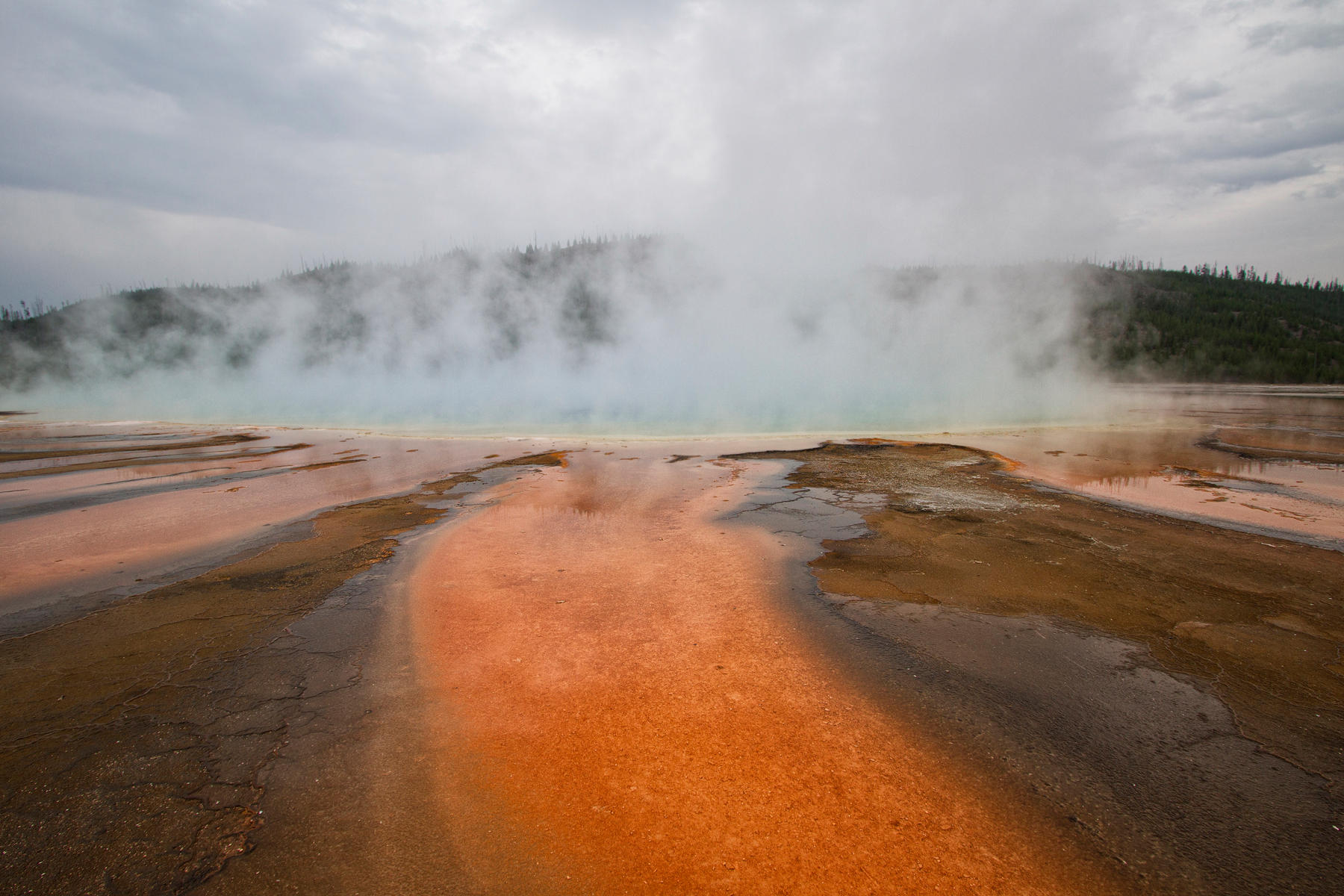 Midway Geyser Basin 0852