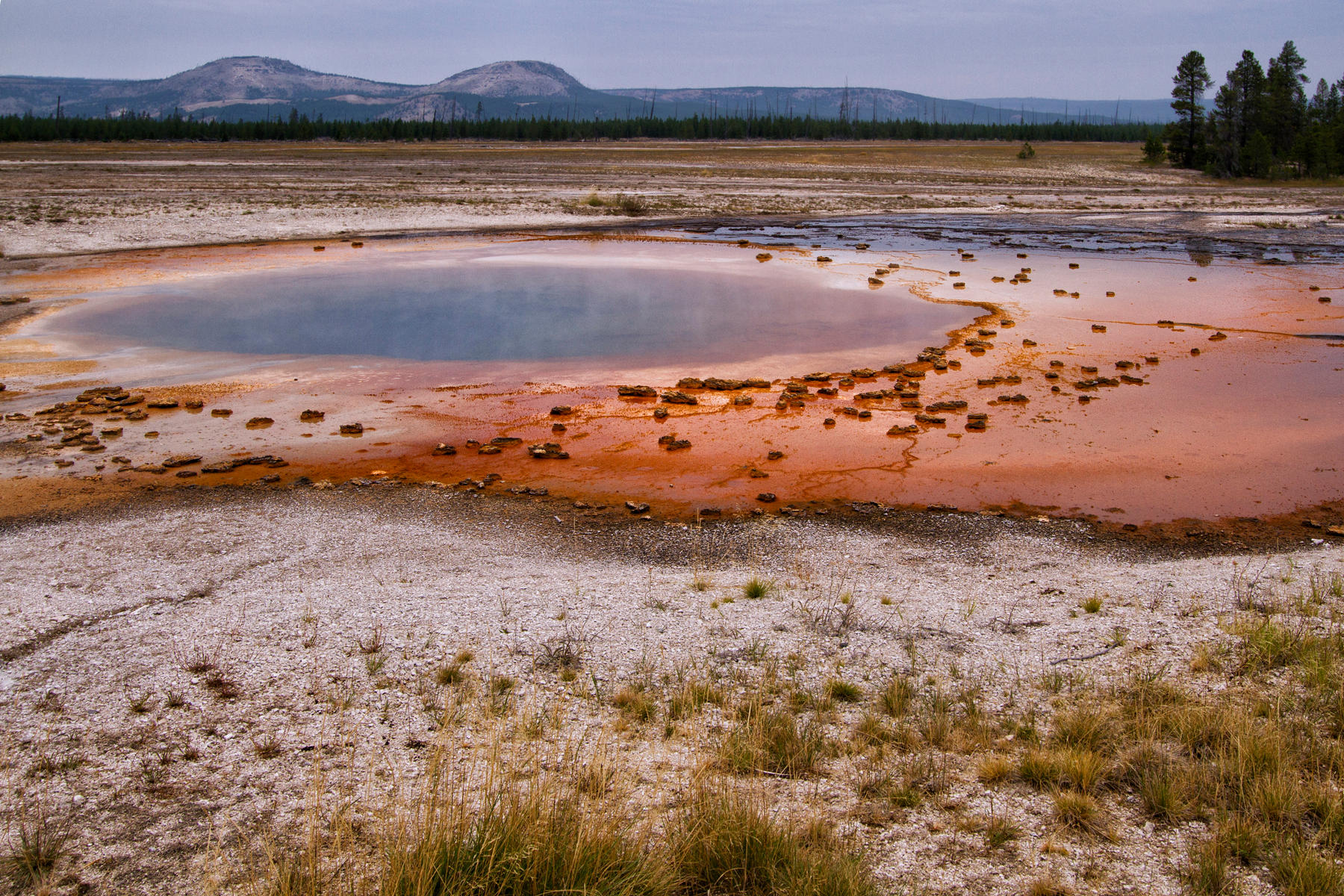 Midway Geyser Basin 0861