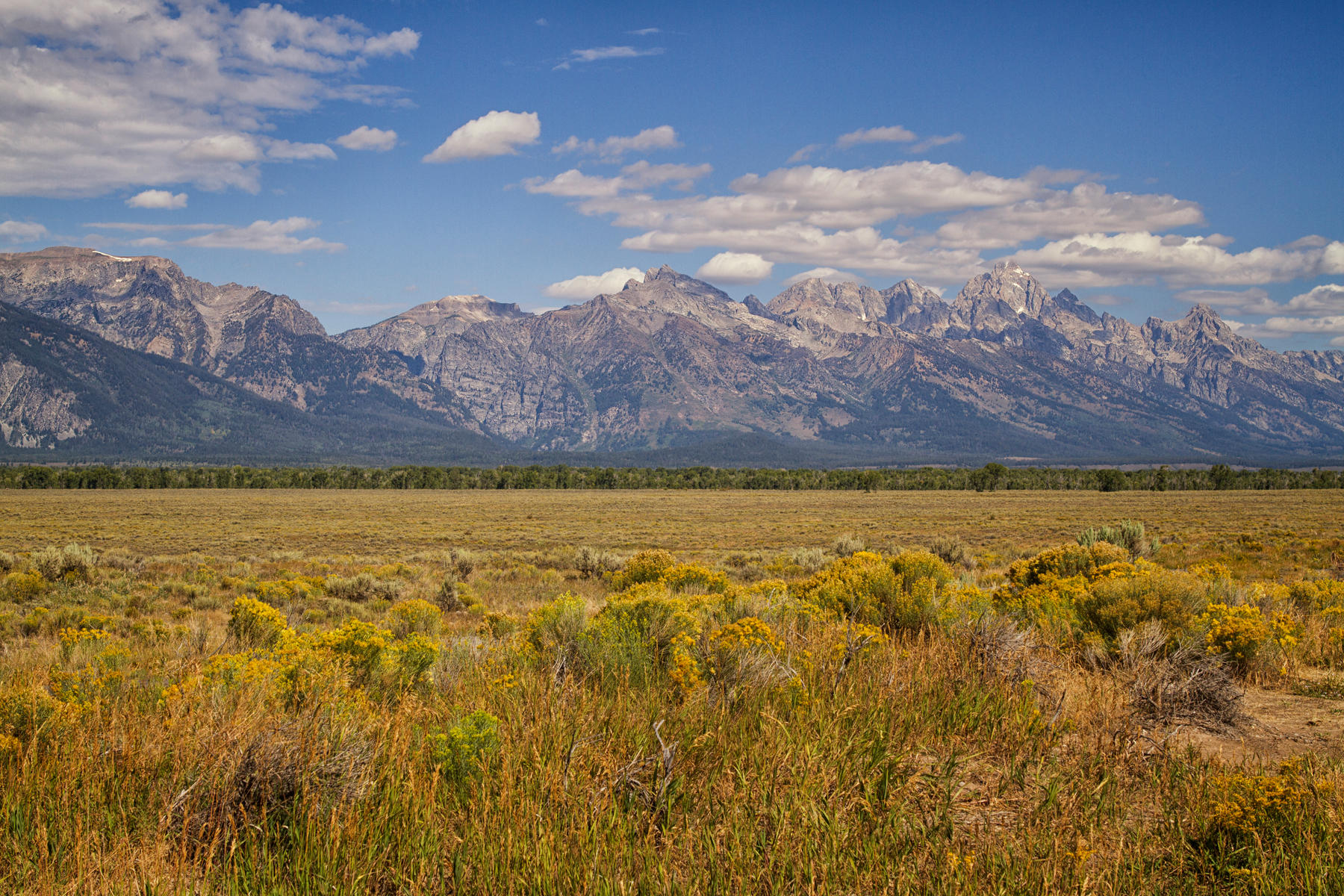 Grand Tetons 0058