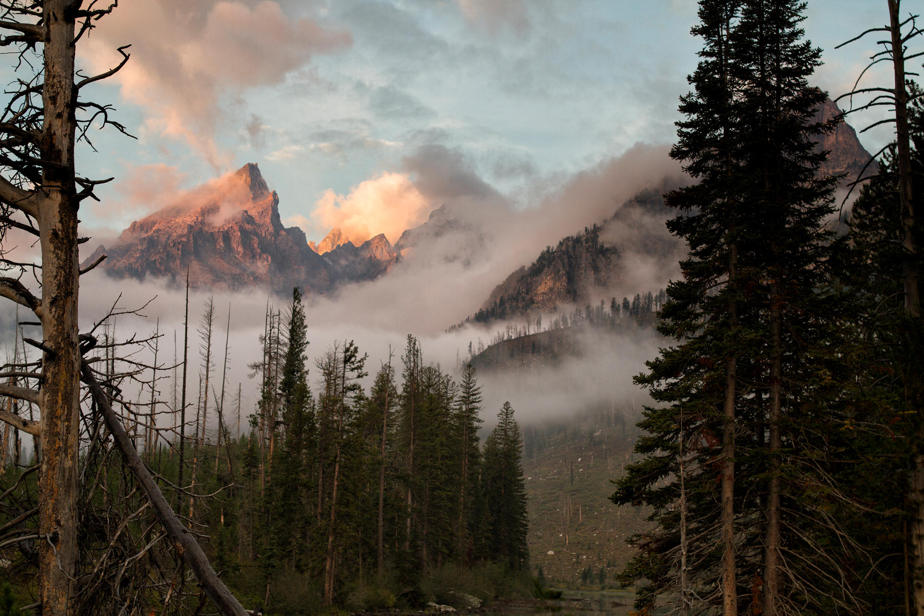 Jenny Lake 0926