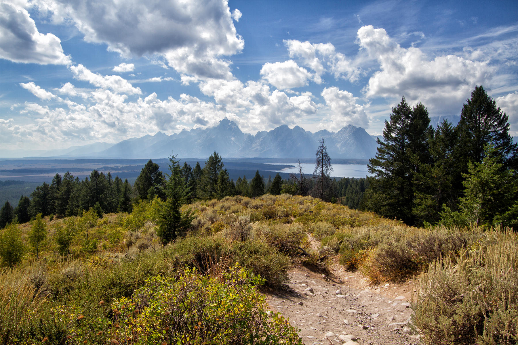 View west from Signal Mountain 1117