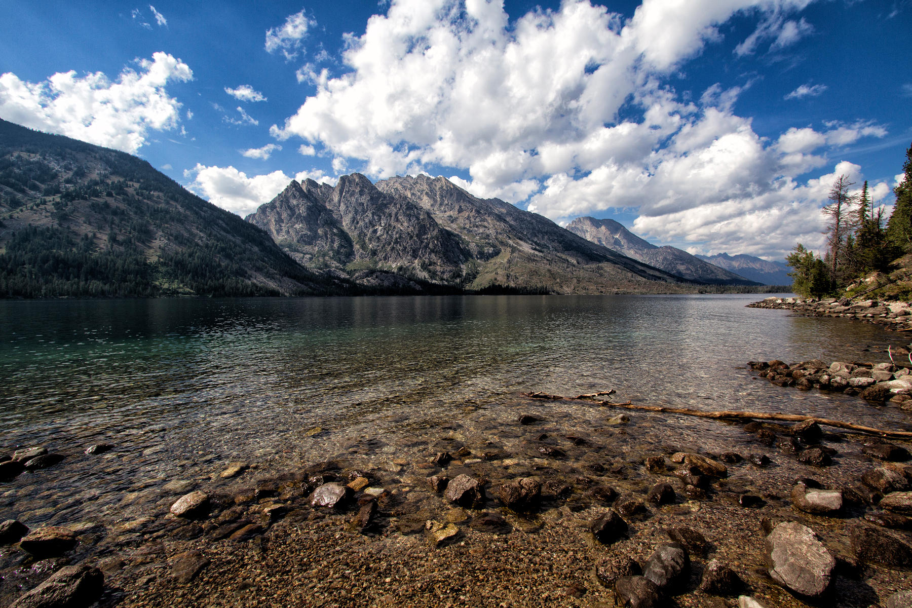 Jenny Lake South 1145