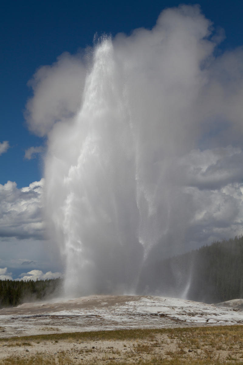 Old Faithful 0082