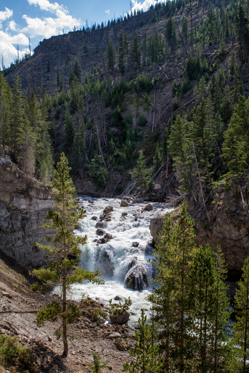 Firehole River 2337