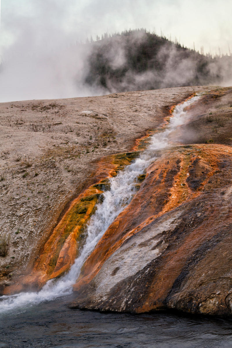 Midway Geyser Basin 0374