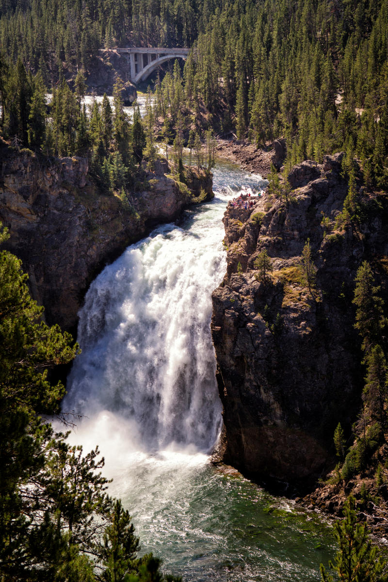 Yellowstone River Upper Falls 0478