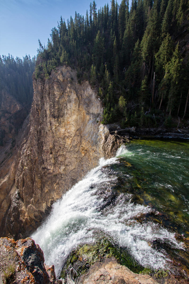 Yellowstone River Lower Falls Brink 0632