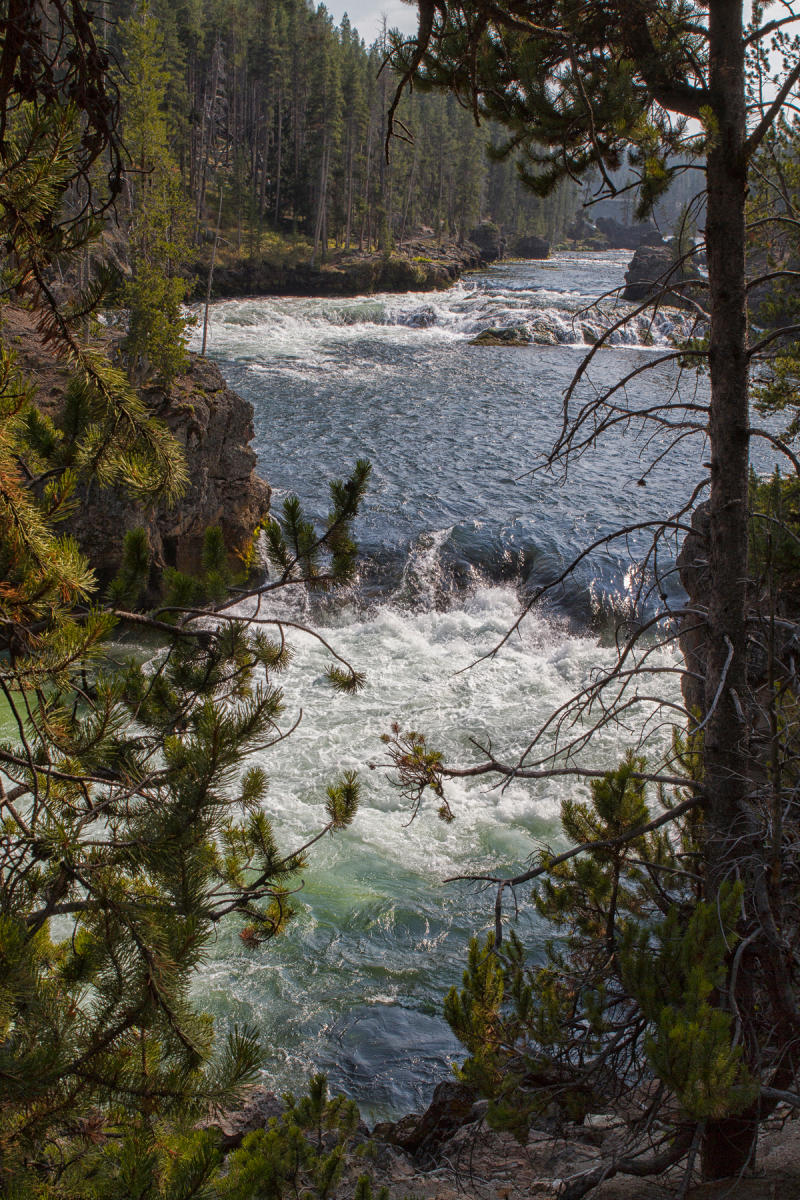 Yellowstone River 0744