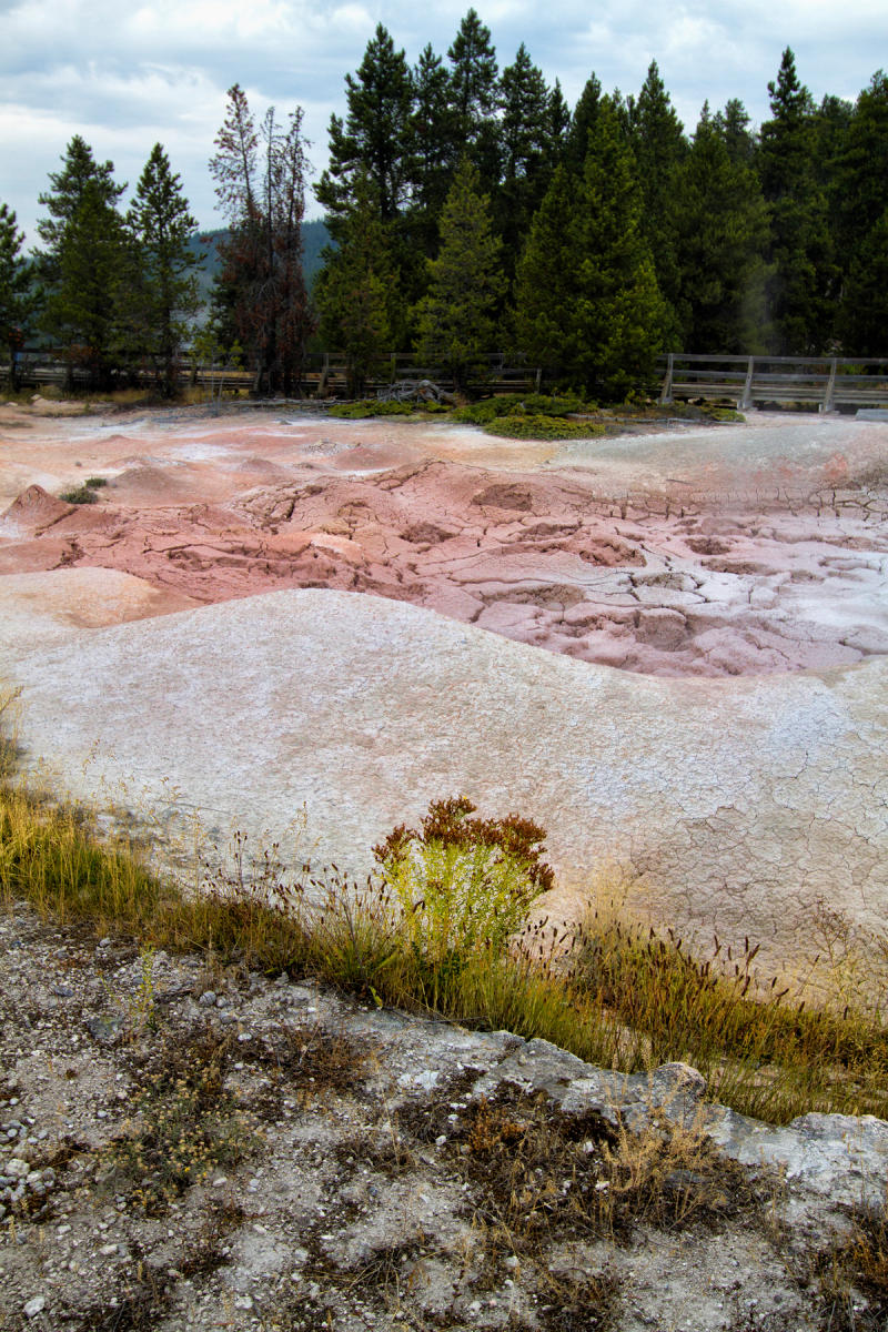 Yellowstone Midway Basin 0801