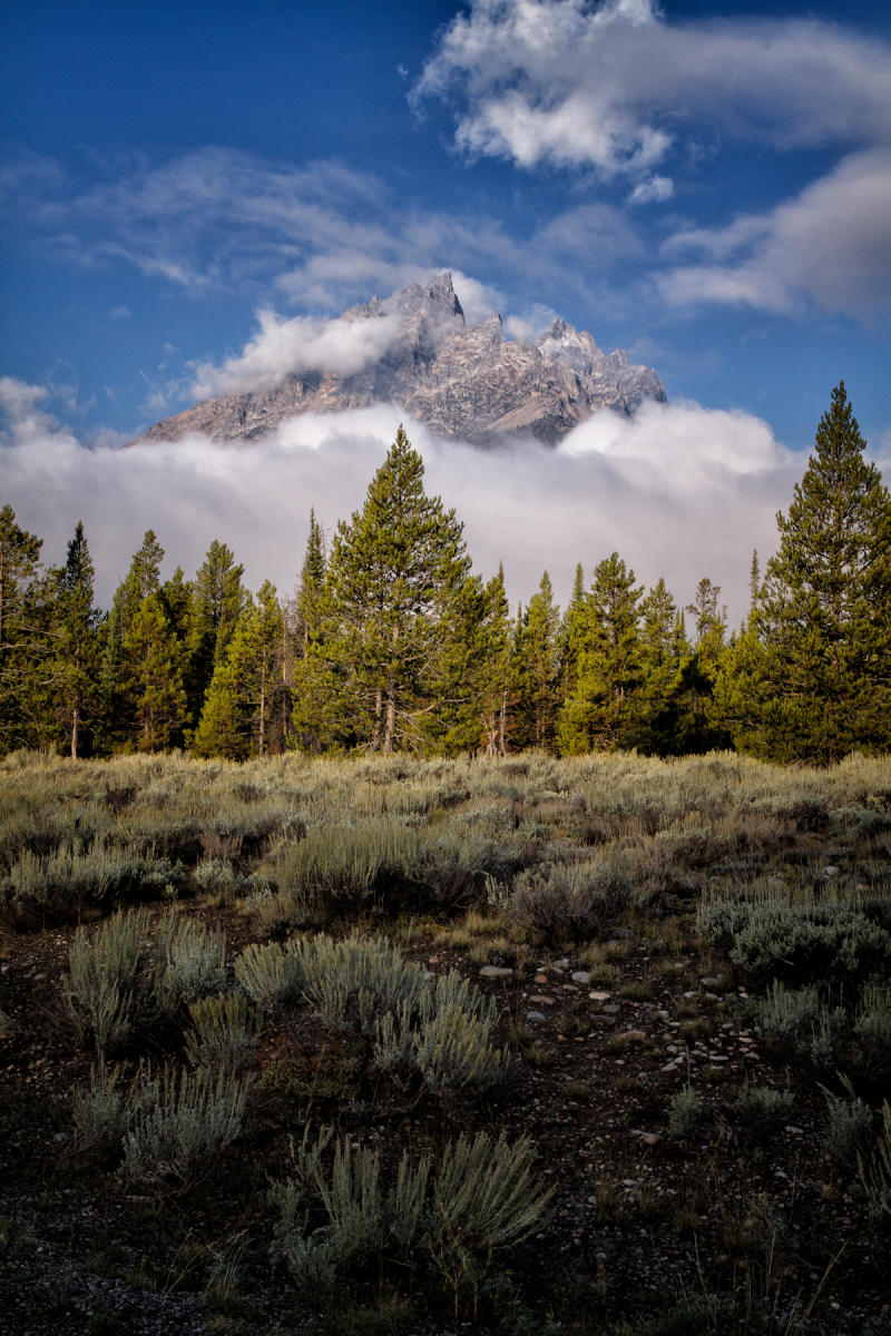 Grand Teton 1002