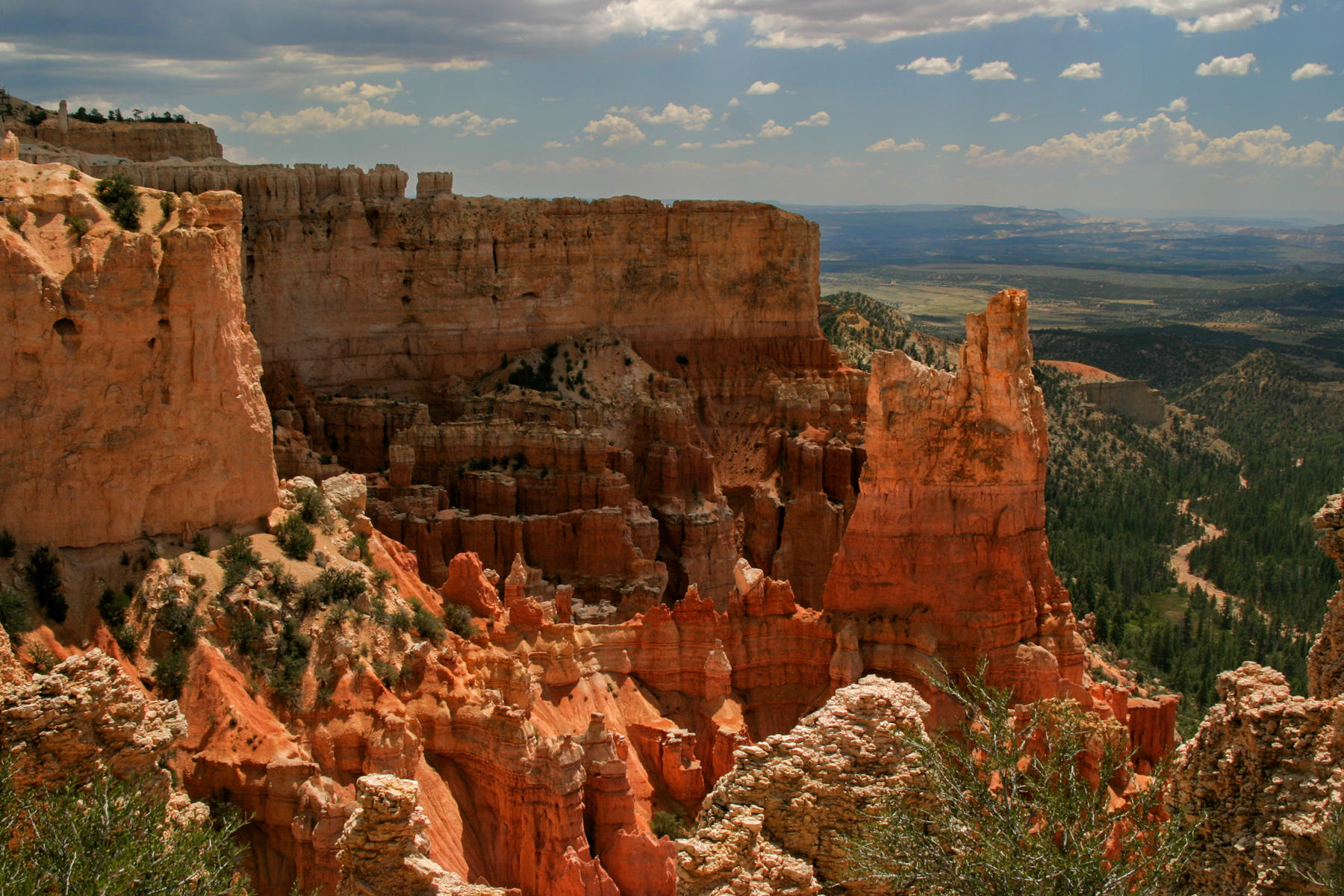 Bryce Canyon 6538