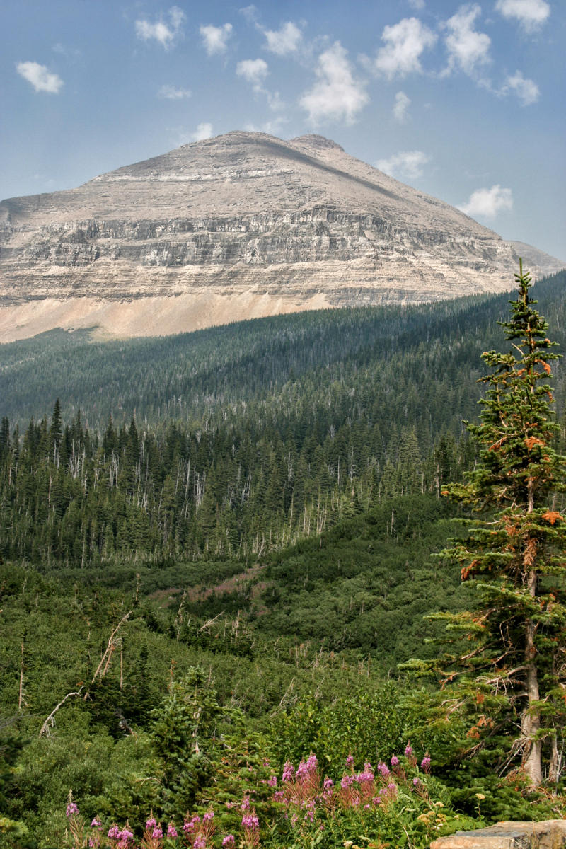 Glacier 3917