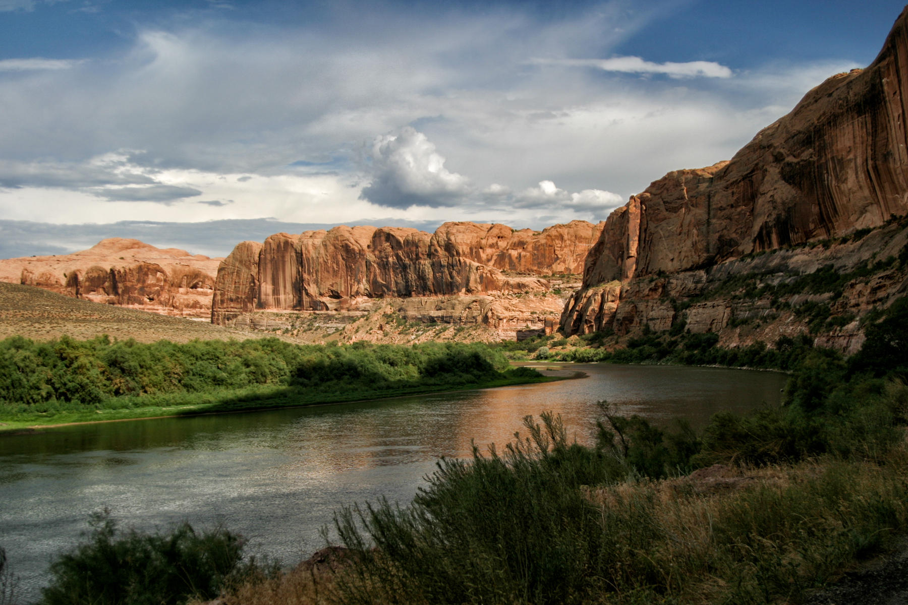 Colorado River 5609