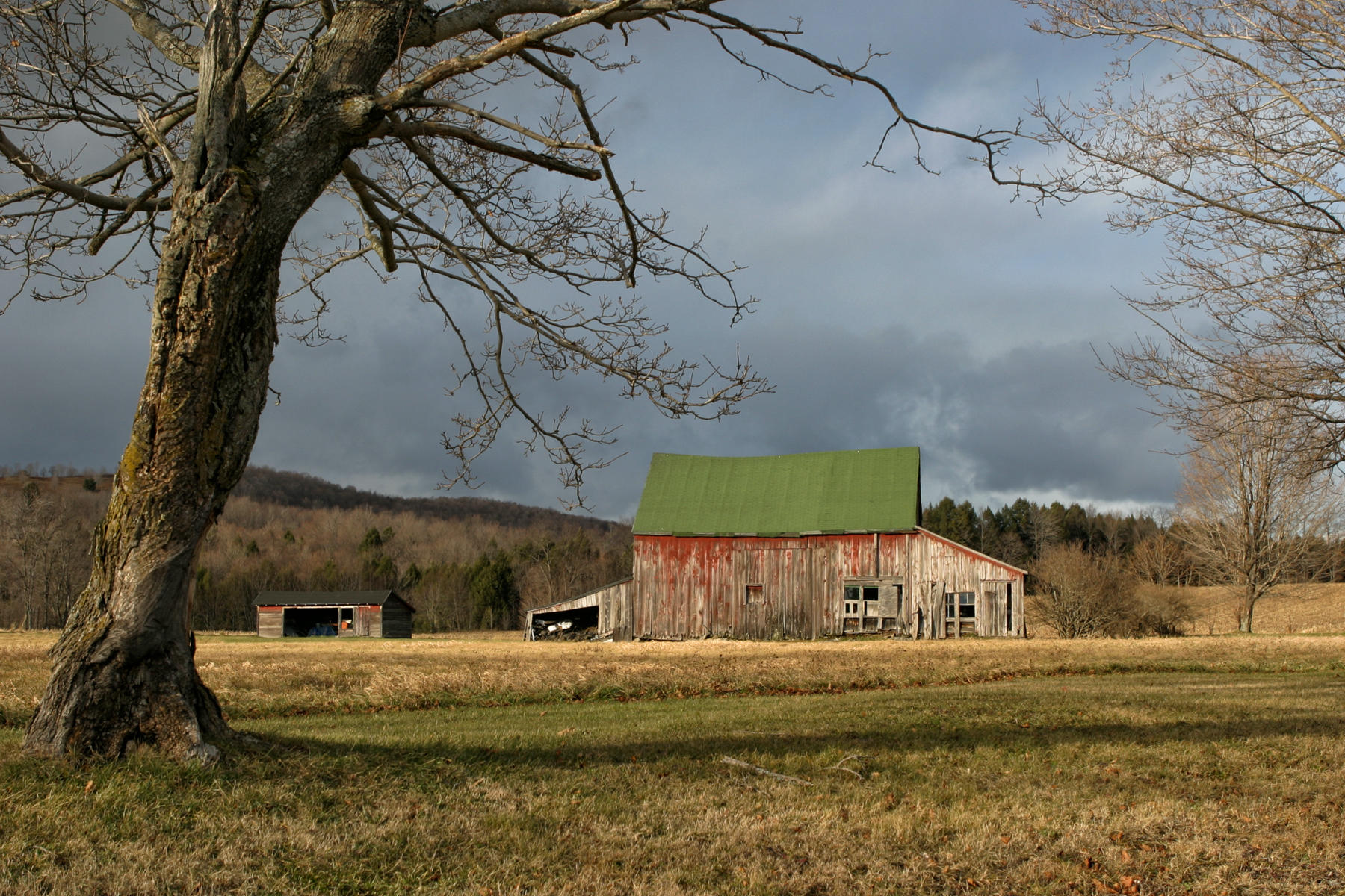 Rensselaer County<br />
New York<br />0039