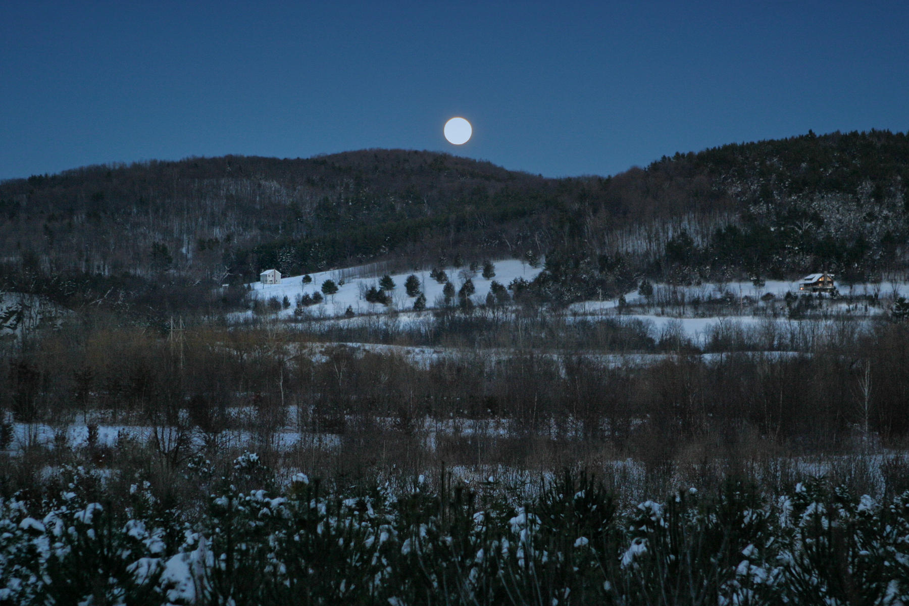 Rensselaer County<br />
New York<br />0088