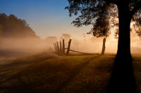 © Lawrence Lee. All Rights Reserved.