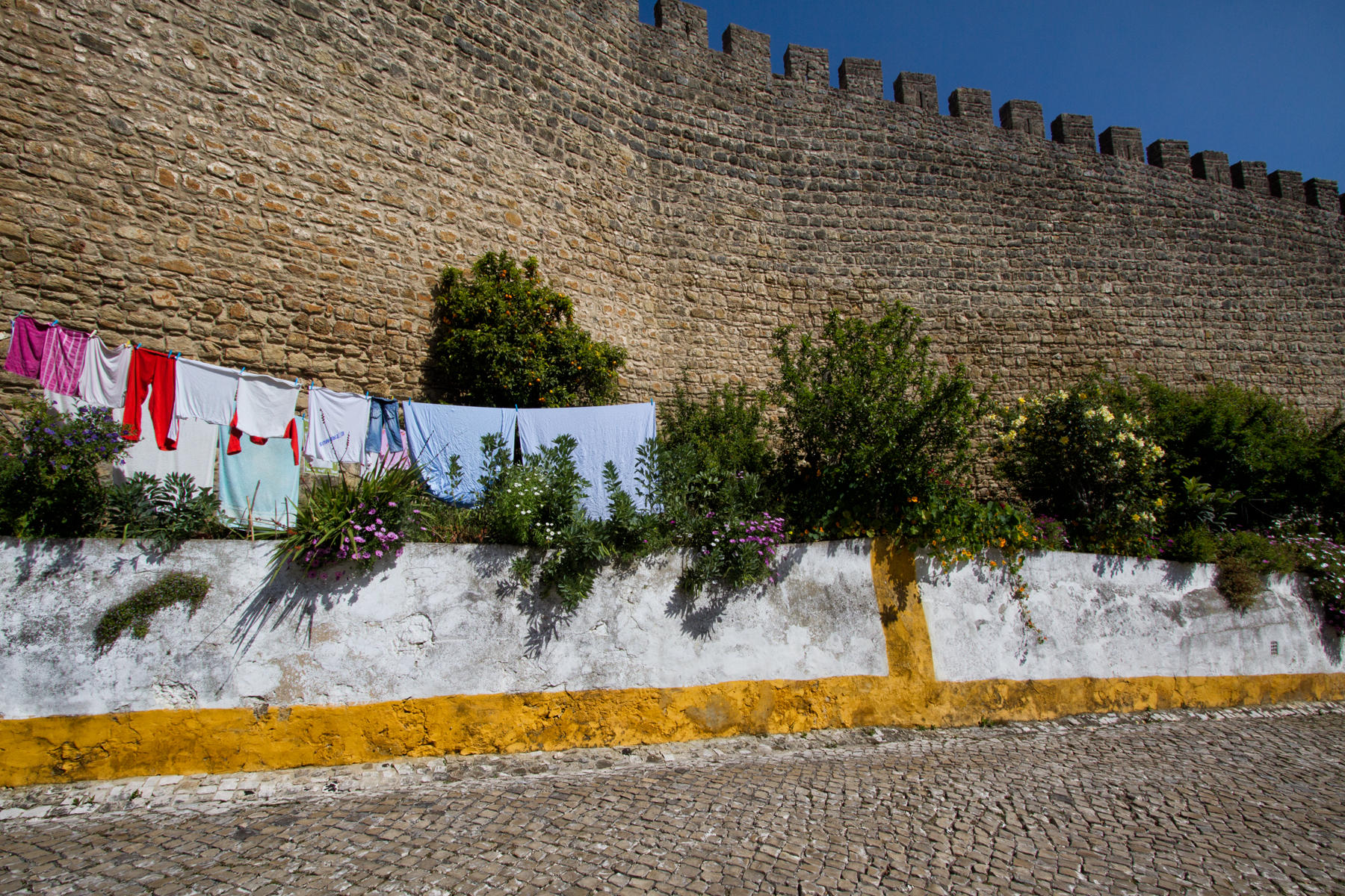 Obidos 9406<br />2013