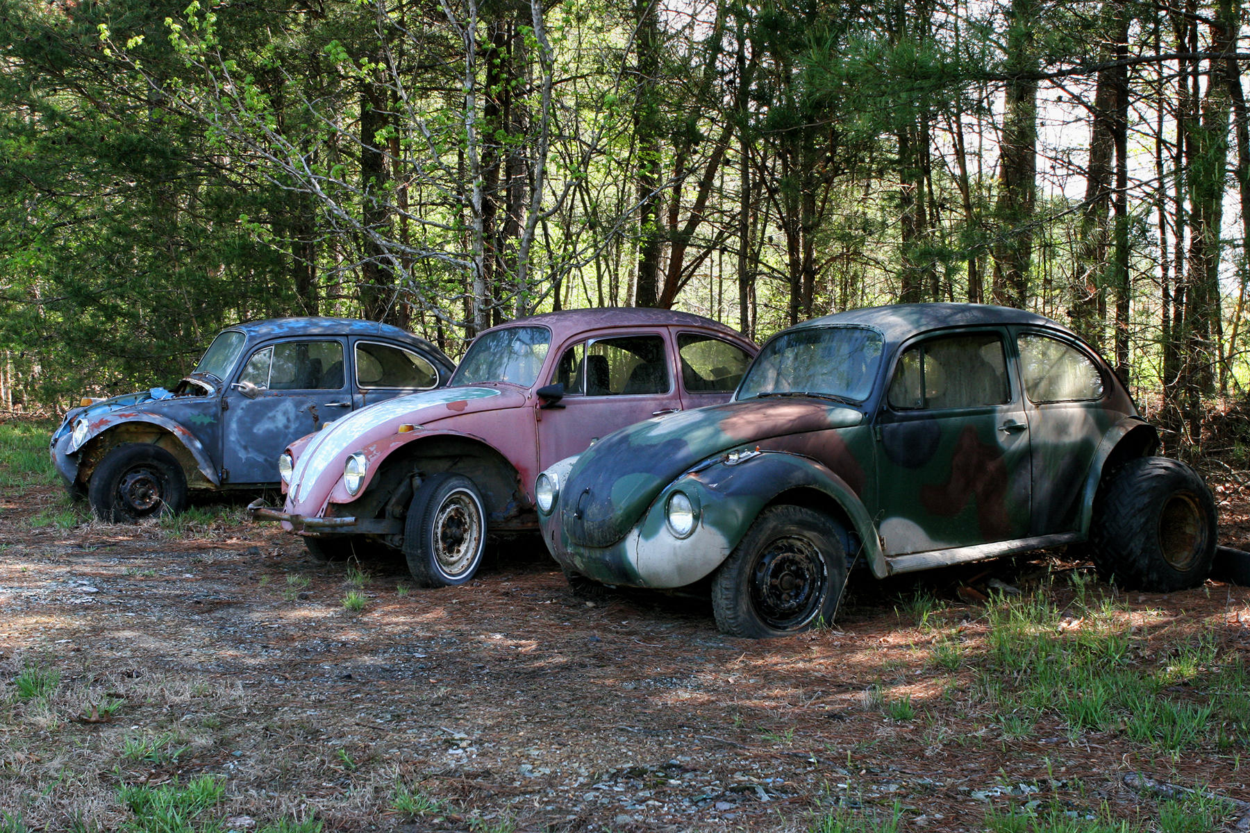 Jackson County 4750<br />Alabama 2006