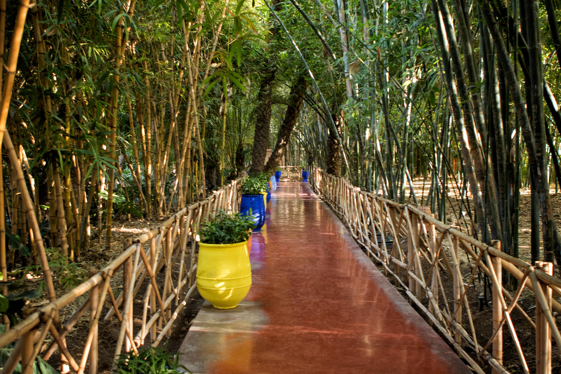 Majorelle Garden<br />Marrakech<br />0515