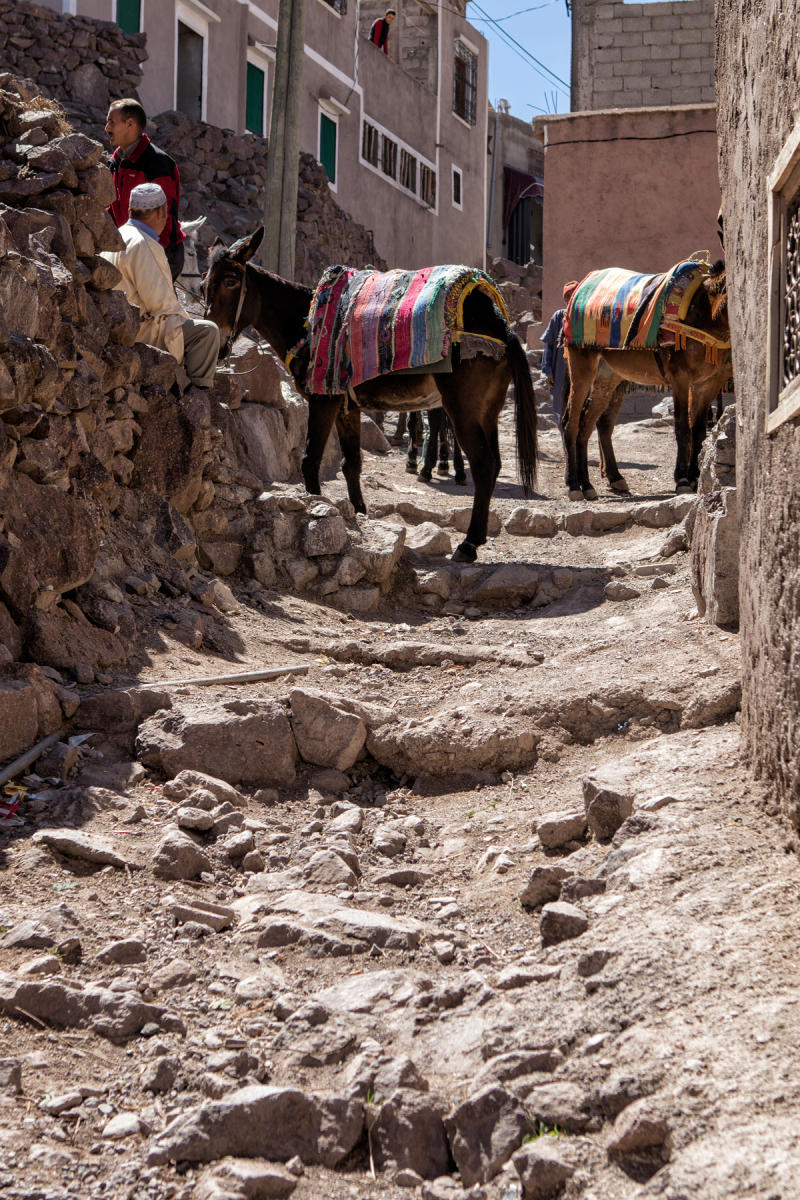 High Atlas Mountains, near Imlil<br />0791