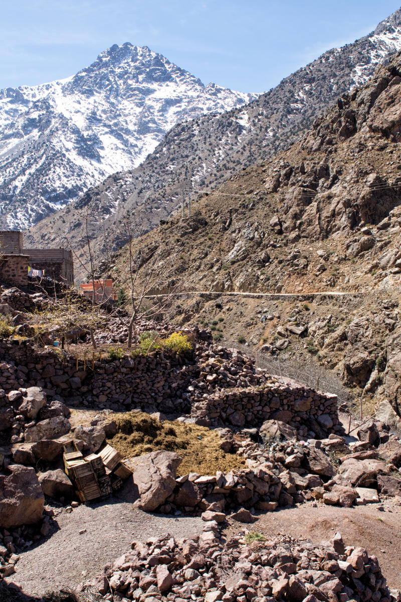 High Atlas Mountains, near Imlil<br />0796