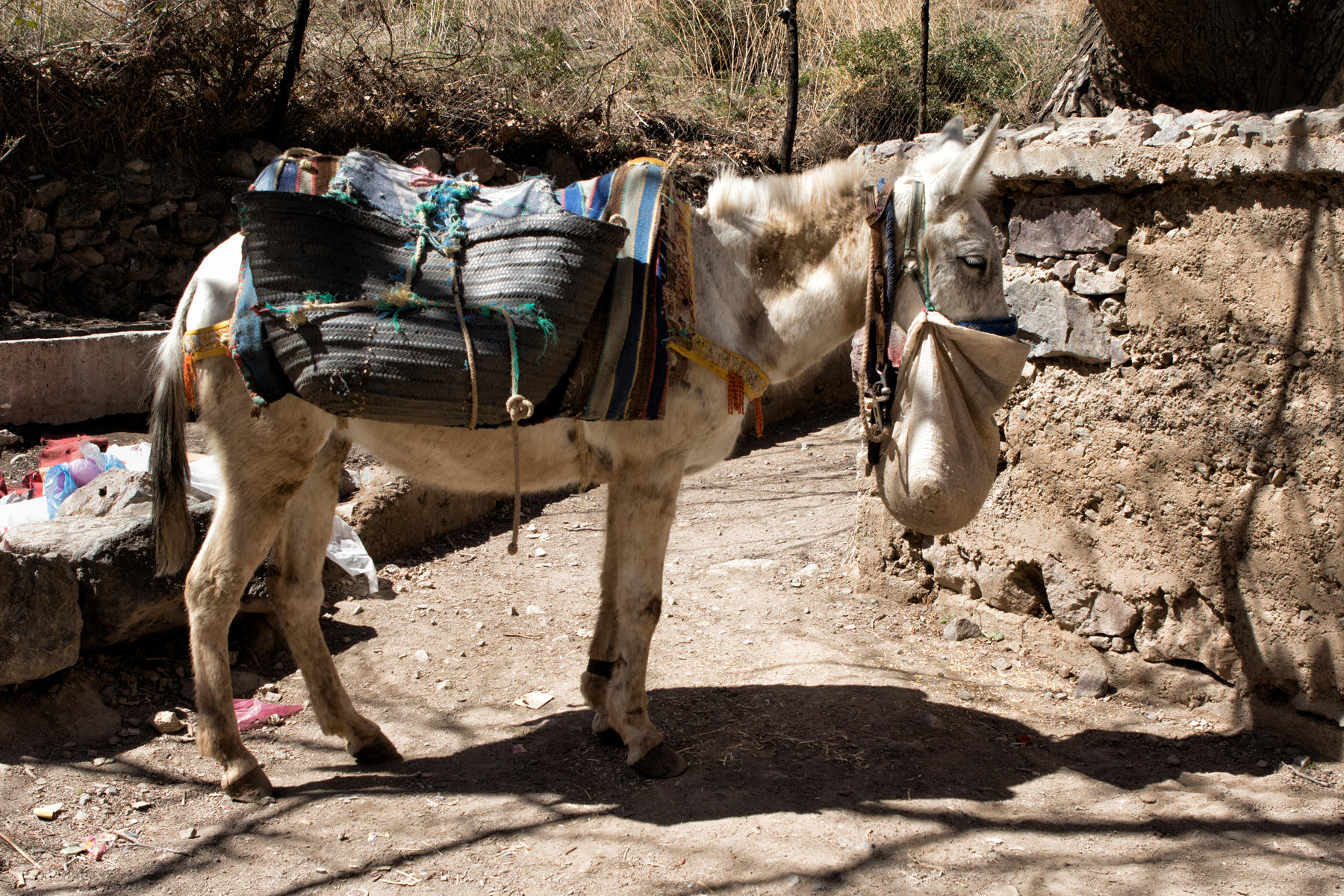 Imlil, High Atlas Mountains<br />0807