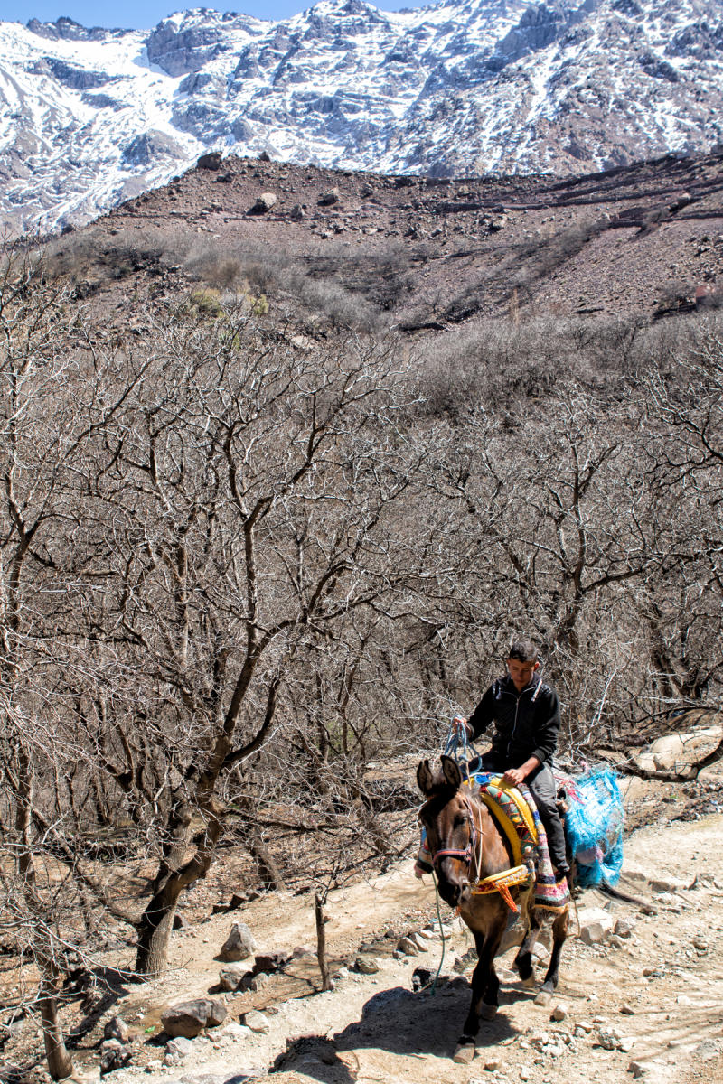 High Atlas Mountains, near Imlil<br />0813