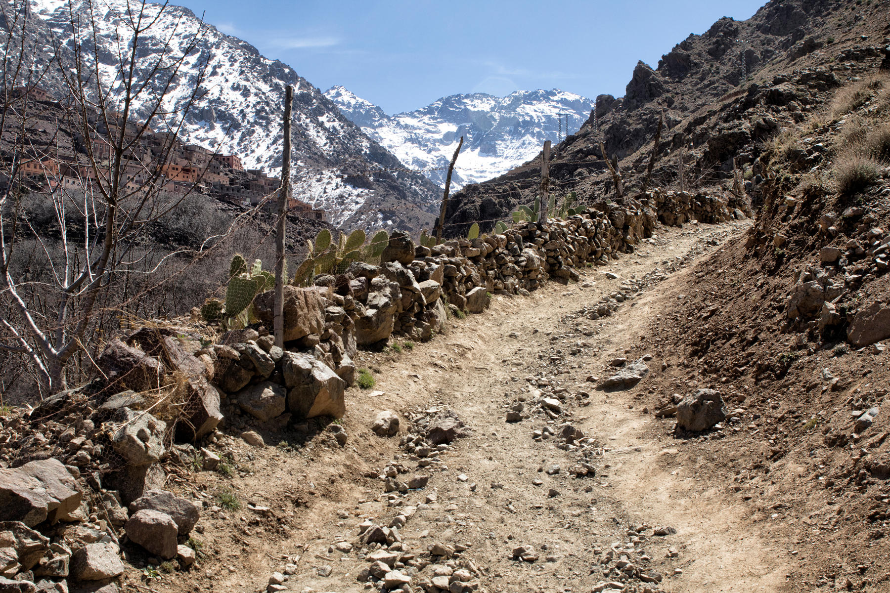 High Atlas Mountains, near Imlil<br />0825