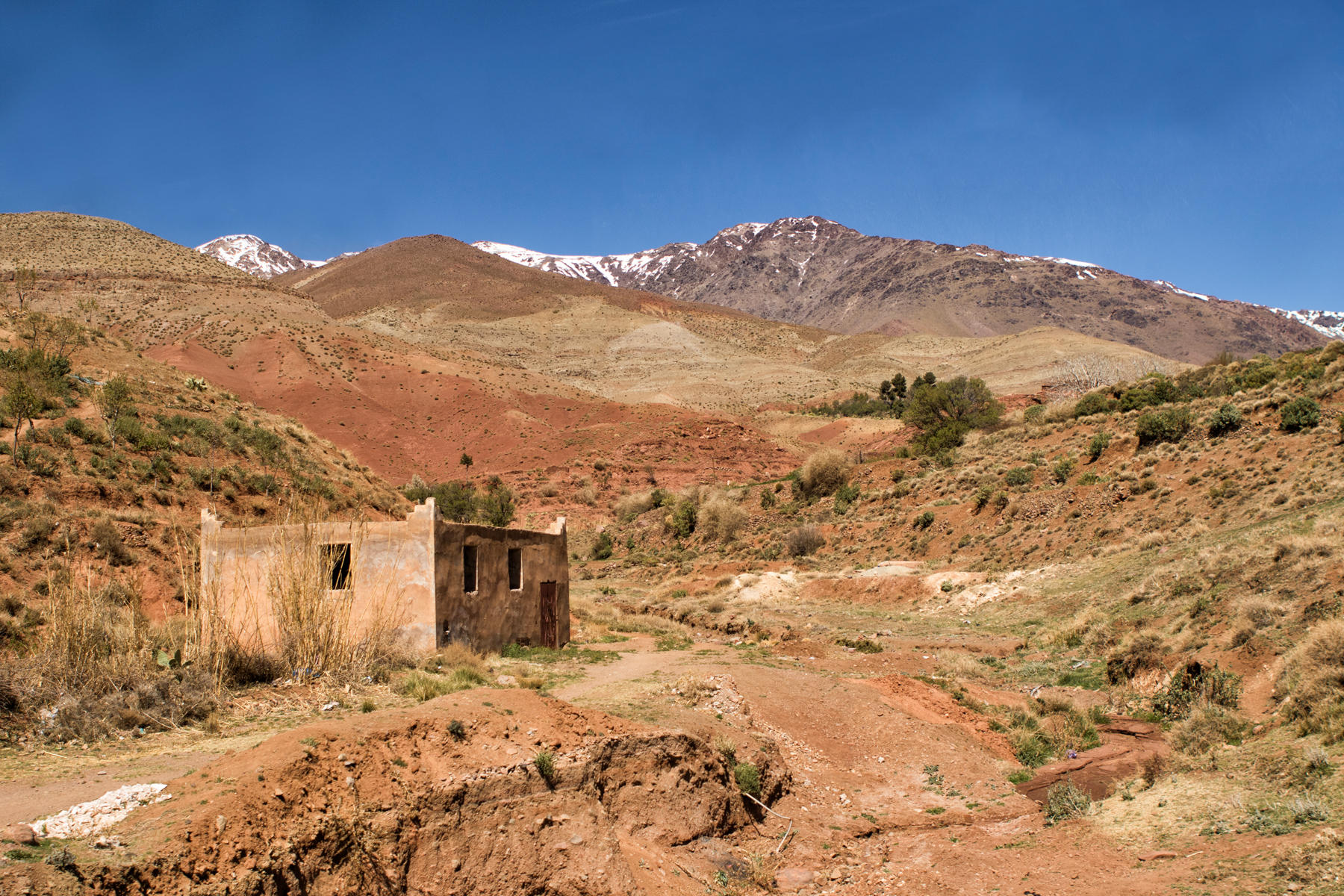 High Atlas Mountains<br />1029