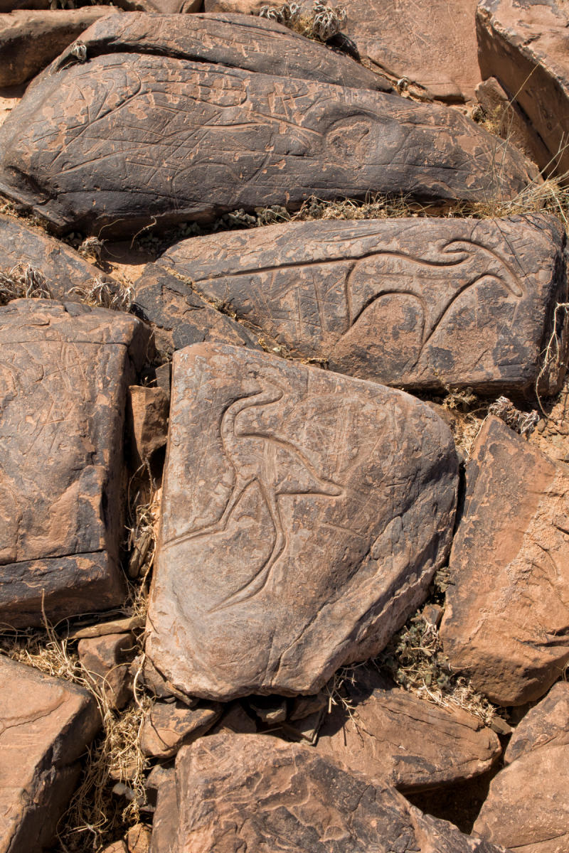 Ait Ouazik Petroglyphs Site<br />1456