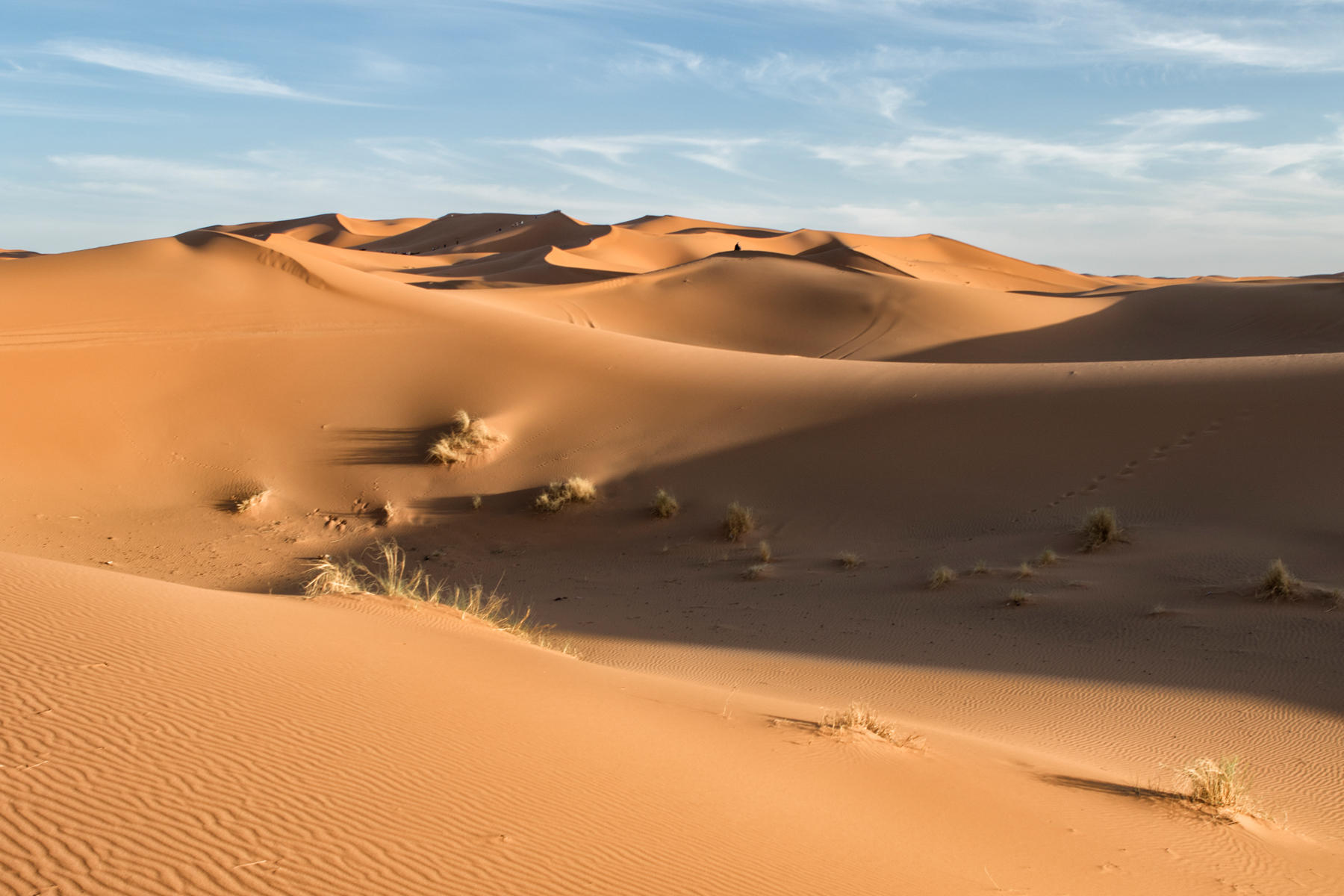 Erg Chebbi<br />1966