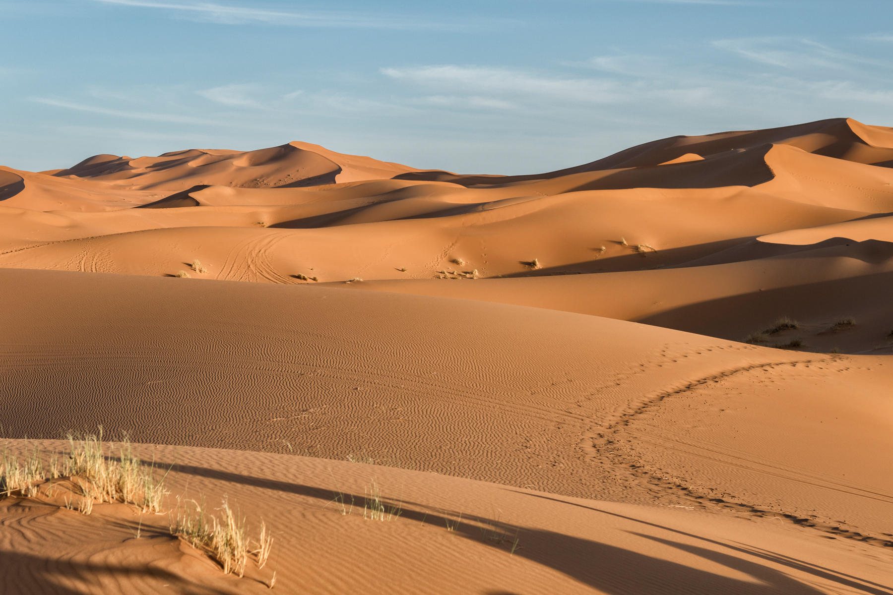 Erg Chebbi<br />1977