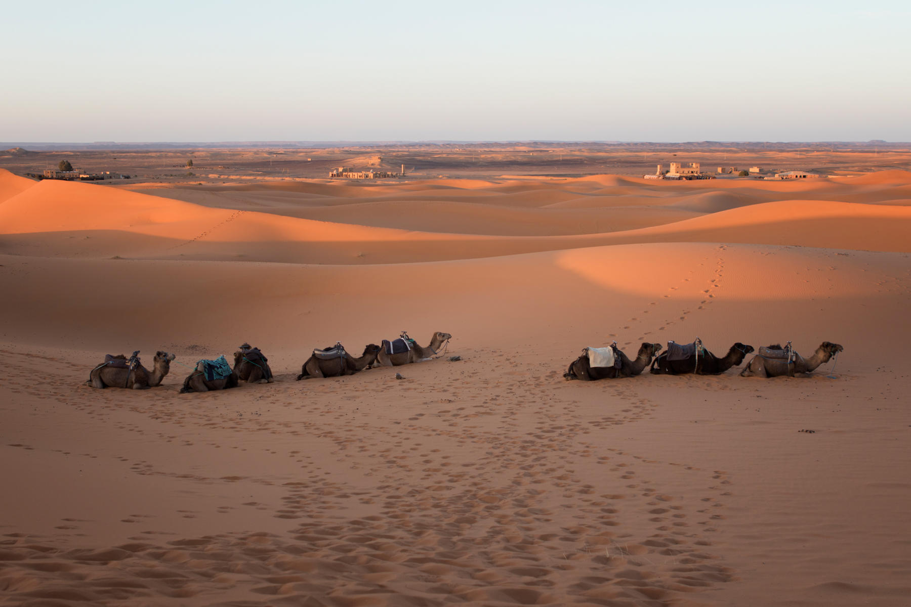 Erg Chebbi<br />2006