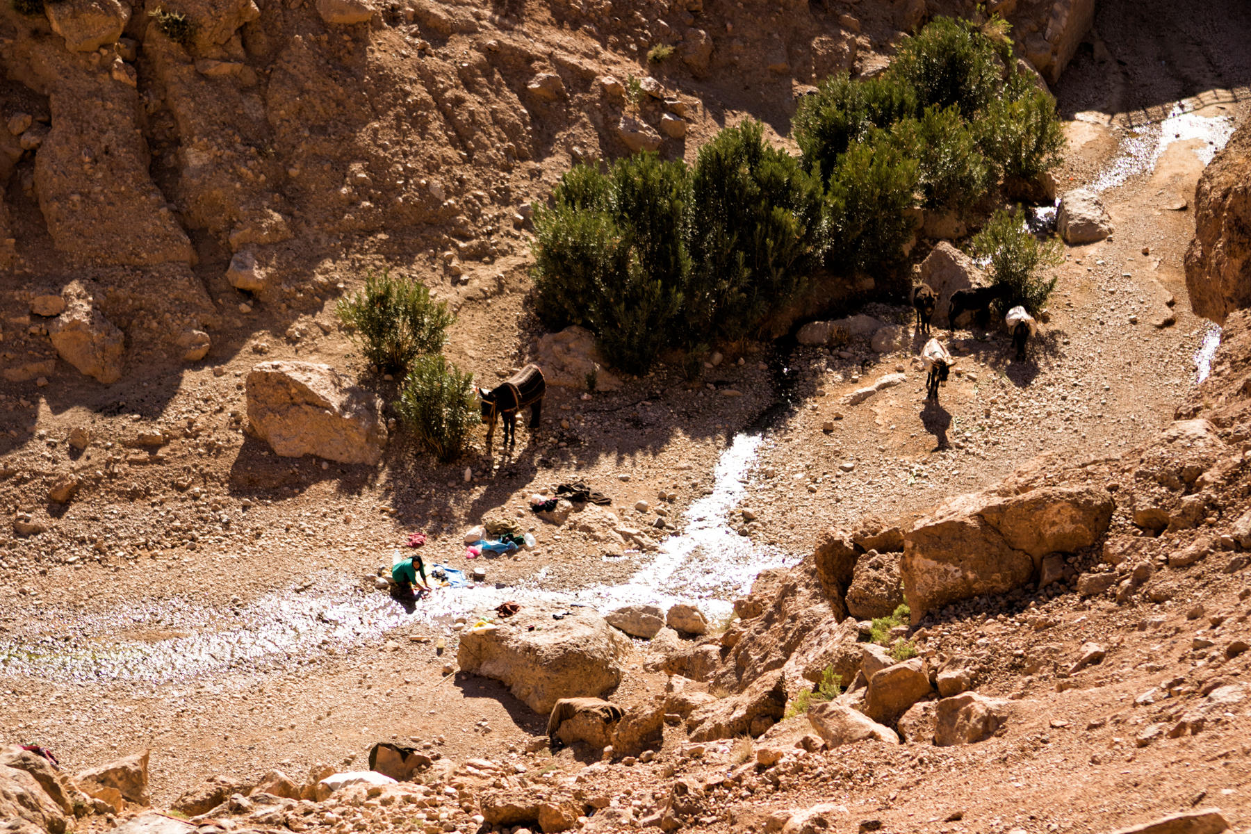 Valley of the Dades River, Route 704<br />2430