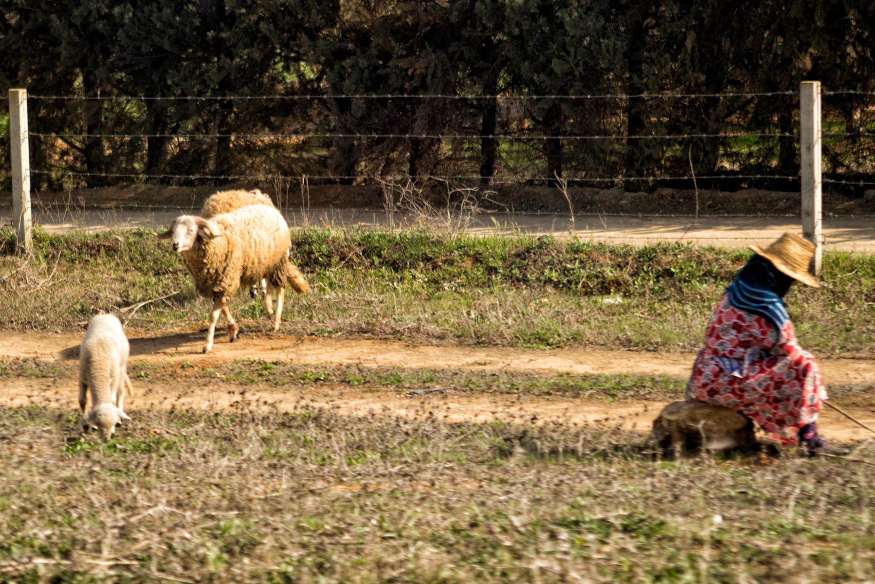 Meknes Countryside<br />2719