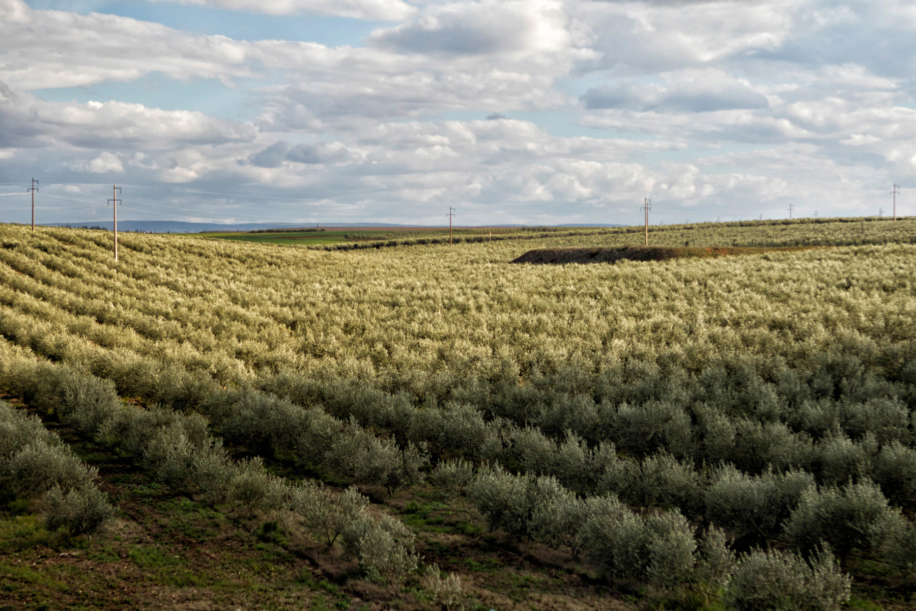 Meknes Countryside<br />2786