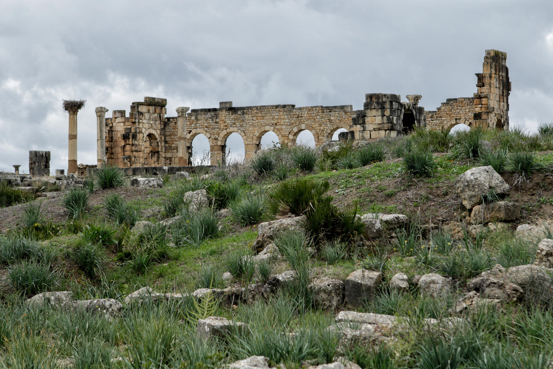 The Basilica, Volubilis<br />3148