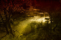 © Lawrence Lee. All Rights Reserved.